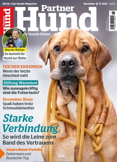 Partner Hund